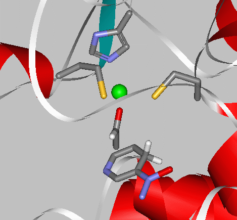 ch2s lewis structure